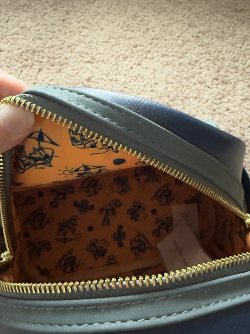 Disney Vacation Club 30th Anniversary Mini Backpack Loungefly - Picture 3 of 9